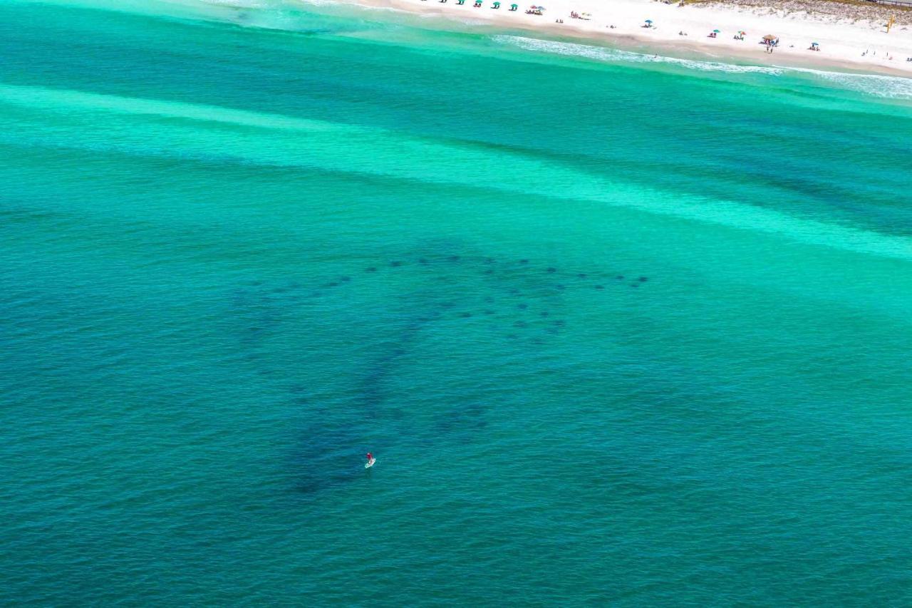 Appartamento Seascape 38A Destin Esterno foto